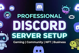 create and setup a professional discord server