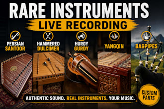 record persian santoor, hammered dulcimer, hurdy gurdy or yangqin for your song