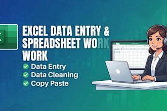 do excel data entry and spreadsheet work professionally