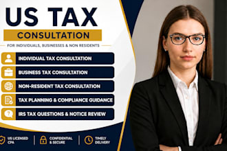 provide US tax consultation for individuals, businesses and non residents