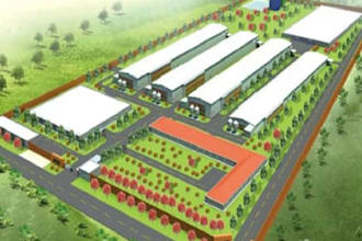 design 3d poultry farm chicken house poultry layout broiler layer chicken farm
