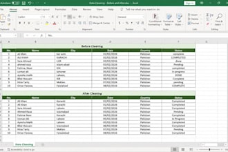 do professional excel data formatting and cleaning