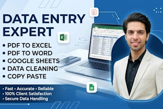 do ms excel data entry,  copy paste and typing work accurately