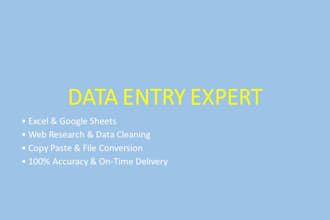 do accurate data entry, web research, and excel work