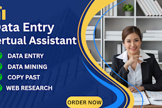 be vertual assistant for data entry,data collection,excel data entry,webresearch