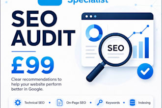 provide a professional website SEO audit