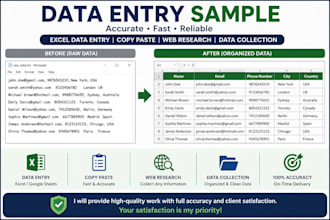 do data entry, copy paste, c and cpp programs and web search