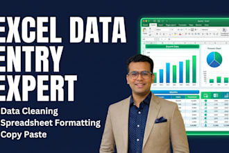 do excel data entry and spreadsheet formatting