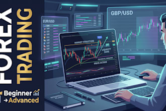 teach you forex trading from beginner to expert