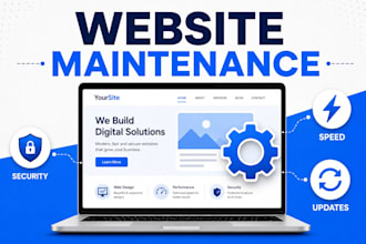 do professional wordpress website maintenance and support