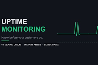 set up website and API uptime monitoring with instant alerts