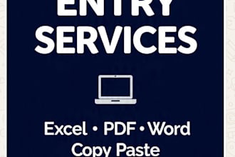 do fast and accurate data entry and excel typing