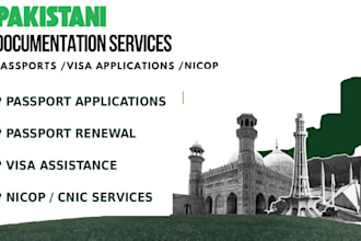 provide professional document preparation and application guidance