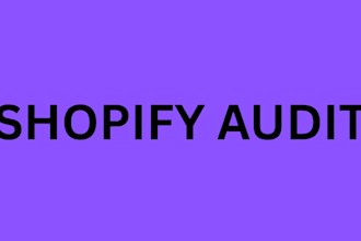 do shopfiy store audit for your dropshipping store