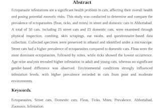 do technical writing research report and documentation