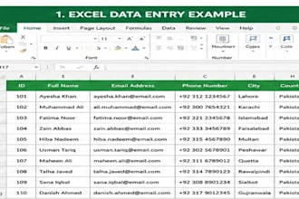 do proffessional data entry typing and copy paste