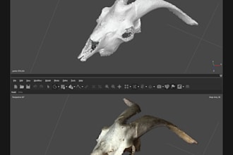 clean photogrammetry scans and convert them into 3d meshes
