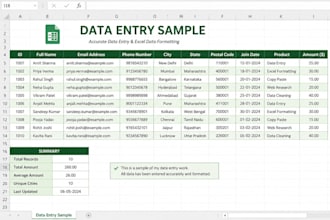 accurate data entry and excel data entry