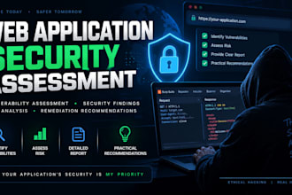 perform a web application security assessment