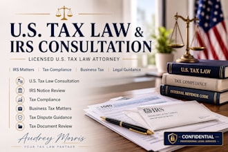 provide US tax law advice, irs notice review and tax consultation