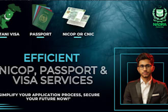 provide professional pakistan visa assistance and application guidance