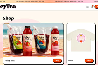 redesign and refresh your shopify website