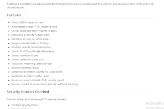 perform a professional website security audit