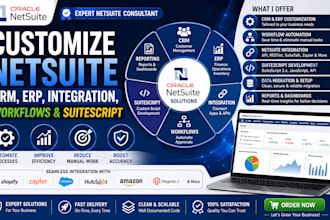 customize netsuite CRM, erp, integration, workflows and suitescript