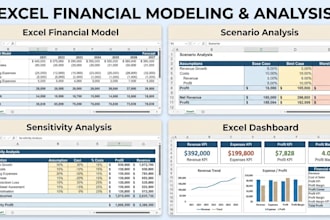 create a professional excel dashboard and financial analysis