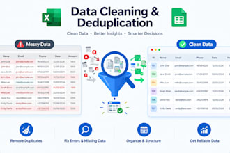 do professional data cleaning, email list cleanup, and remove duplicate data