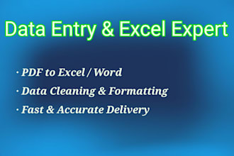 do accurate data entry, PDF to excel, and vendor data management