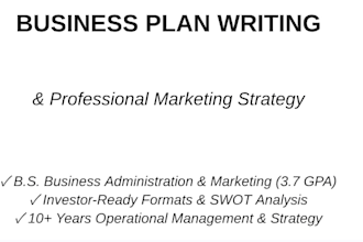 write a professional business plan and strategy