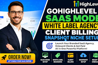 gohighlevel saas mode white label agency client billing snapshot niche setup