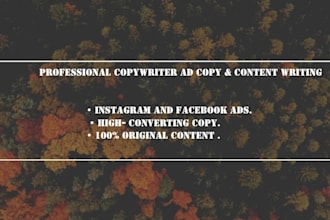 do professional ad copywriting and content writing