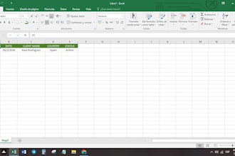 do professional excel database management