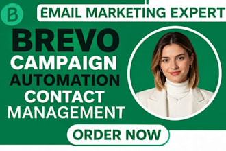 optimize brevo email campaigns automation contact management