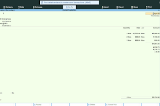 do professional data entry, excel and tally work