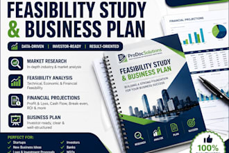 create a professional feasibility study and business plan