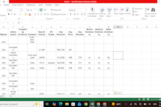 do excel data entry formatting and PDF conversion