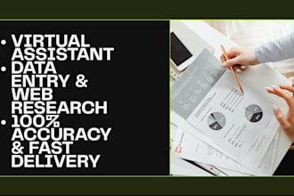 do virtual assistant tasks for data entry and web research