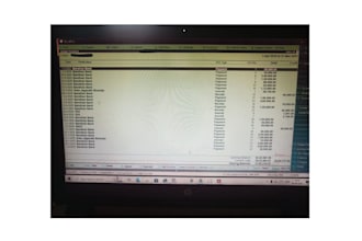 do accounting in tally and excel