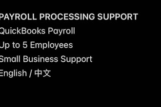 provide payroll setup and processing support for businesses