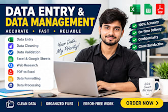 do data entry , PDF to excel, data cleaning, excel formatting, etc