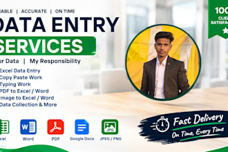 do excel data entry data cleaning and ms office work