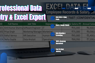 excel data entry, employee records, and salary sheets