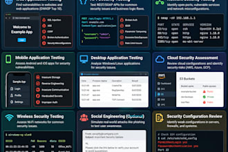 provide web and network pentesting and vulnerability assessment