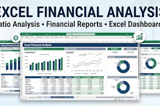 excel financial analysis, ratio analysis and financial reports