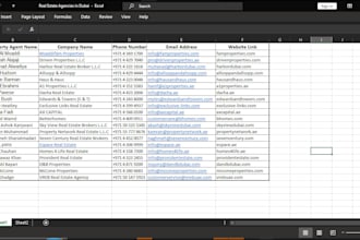 do professional b2b lead generation, VA and excel data entry