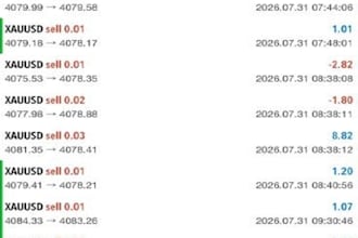 build profitable forex trading bot, forex ea, trading bot, forex robot, gold bot