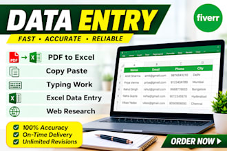 do accurate data entry, copy paste and PDF to excel